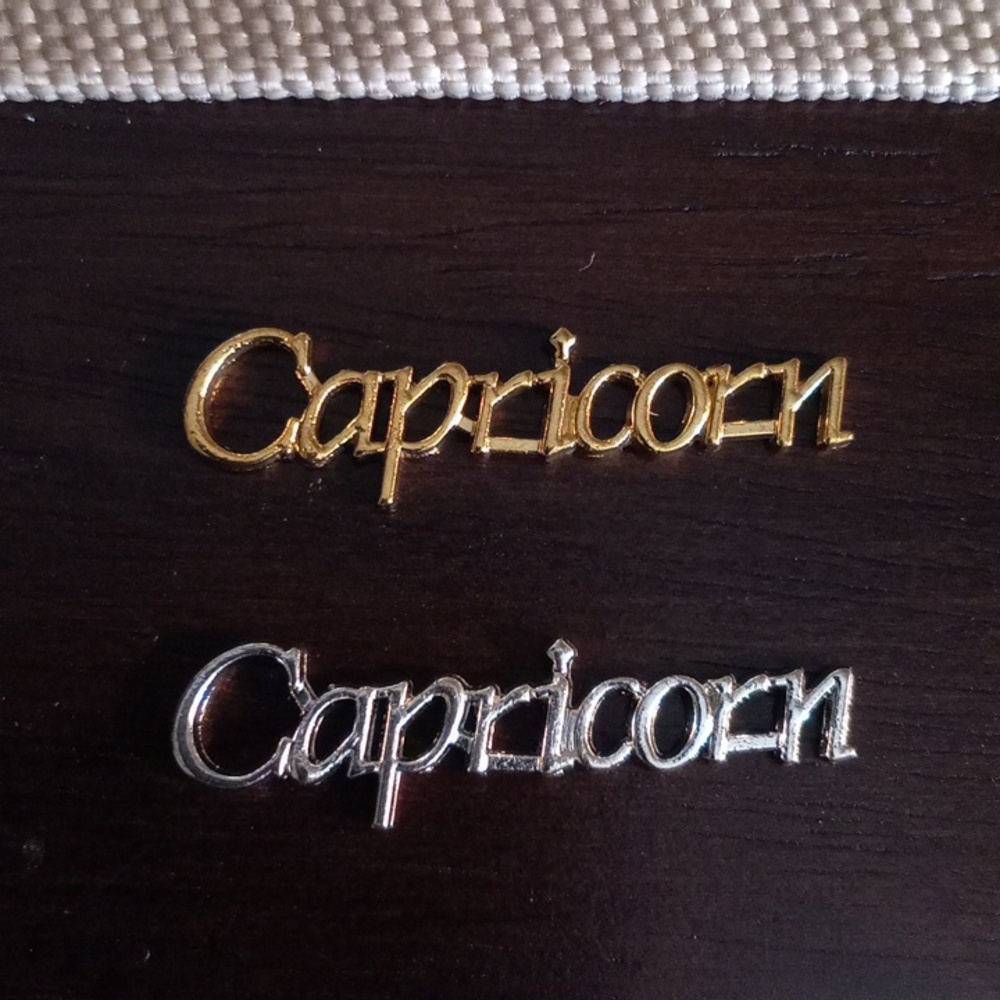 NEW CAPRICORN ZODIAC GOLD & SILVER TONE 3D METAL NAIL CHARMS (2PCS)